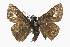  ( - CCDB-28973-B04_NGS)  @13 [ ] CreativeCommons - Attribution (2016) Jacopo DErcole Centre for Biodiversity Genomics