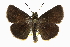  ( - CCDB-28973-F09_NGS)  @11 [ ] CreativeCommons - Attribution (2016) Jacopo DErcole Centre for Biodiversity Genomics