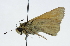 ( - CCDB-28973-G11)  @13 [ ] CreativeCommons - Attribution (2016) CBG Photography Group Centre for Biodiversity Genomics