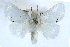  ( - CCDB-28975-H06)  @11 [ ] CreativeCommons - Attribution (2015) CBG Photography Group Centre for Biodiversity Genomics