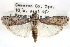  ( - CCDB-28993-G11)  @11 [ ] CreativeCommons - Attribution (2016) CBG Photography Group Centre for Biodiversity Genomics