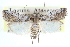  ( - CCDB-28994-A10)  @11 [ ] CreativeCommons - Attribution (2016) CBG Photography Group Centre for Biodiversity Genomics