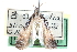  ( - CCDB-28994-A11)  @11 [ ] CreativeCommons - Attribution (2016) CBG Photography Group Centre for Biodiversity Genomics