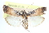  ( - CCDB-28994-A12)  @11 [ ] CreativeCommons - Attribution (2016) CBG Photography Group Centre for Biodiversity Genomics