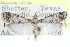  ( - CCDB-28994-D09)  @11 [ ] CreativeCommons - Attribution (2016) CBG Photography Group Centre for Biodiversity Genomics