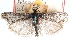  (Sarata atrella - CCDB-28997-D01)  @11 [ ] CreativeCommons - Attribution (2016) CBG Photography Group Centre for Biodiversity Genomics