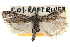  ( - CCDB-28999-B11)  @11 [ ] CreativeCommons - Attribution (2016) CBG Photography Group Centre for Biodiversity Genomics