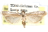  (Anderida - CCDB-28999-G08)  @15 [ ] CreativeCommons - Attribution (2016) CBG Photography Group Centre for Biodiversity Genomics