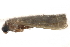  ( - CCDB-28999-G12)  @12 [ ] CreativeCommons - Attribution (2016) CBG Photography Group Centre for Biodiversity Genomics