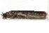  ( - CCDB-28999-H02)  @13 [ ] CreativeCommons - Attribution (2016) CBG Photography Group Centre for Biodiversity Genomics