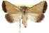  ( - CCDB-29000-E04)  @14 [ ] CreativeCommons - Attribution (2016) CBG Photography Group Centre for Biodiversity Genomics