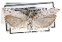  ( - CCDB-29001-A12)  @11 [ ] CreativeCommons - Attribution (2016) CBG Photography Group Centre for Biodiversity Genomics