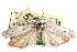  ( - CCDB-29001-B06)  @11 [ ] CreativeCommons - Attribution (2016) CBG Photography Group Centre for Biodiversity Genomics