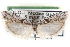  ( - CCDB-29001-B08)  @11 [ ] CreativeCommons - Attribution (2016) CBG Photography Group Centre for Biodiversity Genomics