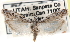  ( - CCDB-29001-C11)  @11 [ ] CreativeCommons - Attribution (2016) CBG Photography Group Centre for Biodiversity Genomics