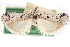  ( - CCDB-29001-F11)  @11 [ ] CreativeCommons - Attribution (2016) CBG Photography Group Centre for Biodiversity Genomics