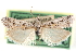  (Rostrolaetilia placidella - CCDB-29001-G01)  @11 [ ] CreativeCommons - Attribution (2016) CBG Photography Group Centre for Biodiversity Genomics