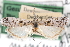  ( - CCDB-29001-G02)  @11 [ ] CreativeCommons - Attribution (2016) CBG Photography Group Centre for Biodiversity Genomics