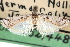  ( - CCDB-29001-G04)  @11 [ ] CreativeCommons - Attribution (2016) CBG Photography Group Centre for Biodiversity Genomics