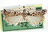  ( - CCDB-29001-G12)  @11 [ ] CreativeCommons - Attribution (2016) CBG Photography Group Centre for Biodiversity Genomics