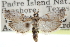  ( - CCDB-29002-B04)  @11 [ ] CreativeCommons - Attribution (2016) CBG Photography Group Centre for Biodiversity Genomics