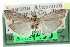  ( - CCDB-29002-B05)  @11 [ ] CreativeCommons - Attribution (2016) CBG Photography Group Centre for Biodiversity Genomics