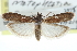 ( - CCDB-29002-B10)  @11 [ ] CreativeCommons - Attribution (2016) CBG Photography Group Centre for Biodiversity Genomics