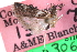  ( - CCDB-29002-E06)  @11 [ ] CreativeCommons - Attribution (2016) CBG Photography Group Centre for Biodiversity Genomics