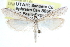  ( - CCDB-29002-G12)  @11 [ ] CreativeCommons - Attribution (2016) CBG Photography Group Centre for Biodiversity Genomics