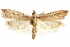  ( - CCDB-29003-A04)  @11 [ ] CreativeCommons - Attribution (2015) CBG Photography Group Centre for Biodiversity Genomics