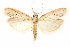 ( - CCDB-29003-B05)  @15 [ ] CreativeCommons - Attribution (2015) CBG Photography Group Centre for Biodiversity Genomics