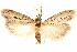  ( - CCDB-29003-B08)  @15 [ ] CreativeCommons - Attribution (2015) CBG Photography Group Centre for Biodiversity Genomics