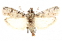  ( - CCDB-29003-C04)  @11 [ ] CreativeCommons - Attribution (2015) CBG Photography Group Centre for Biodiversity Genomics