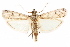  ( - CCDB-29003-C05)  @11 [ ] CreativeCommons - Attribution (2015) CBG Photography Group Centre for Biodiversity Genomics