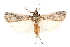  ( - CCDB-29003-D07)  @14 [ ] CreativeCommons - Attribution (2015) CBG Photography Group Centre for Biodiversity Genomics
