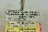  ( - CCDB-24283-F01)  @11 [ ] CreativeCommons - Attribution (2015) CBG Photography Group Centre for Biodiversity Genomics