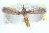  ( - CCDB-28995-A07)  @11 [ ] CreativeCommons - Attribution (2016) CBG Photography Group Centre for Biodiversity Genomics