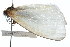  ( - CCDB-28560-H05)  @11 [ ] CreativeCommons - Attribution (2015) CBG Photography Group Centre for Biodiversity Genomics
