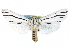  ( - CCDB-29060-H09)  @11 [ ] CreativeCommons - Attribution (2016) CBG Photography Group Centre for Biodiversity Genomics