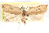  ( - CCDB-29062-E04)  @11 [ ] CreativeCommons - Attribution (2016) CBG Photography Group Centre for Biodiversity Genomics
