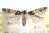  ( - CCDB-29065-A01)  @13 [ ] CreativeCommons - Attribution (2016) CBG Photography Group Centre for Biodiversity Genomics