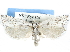  ( - CCDB-29454-E01)  @14 [ ] CreativeCommons - Attribution (2017) CBG Photography Group Centre for Biodiversity Genomics