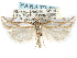  ( - CCDB-29454-E06)  @11 [ ] CreativeCommons - Attribution (2017) CBG Photography Group Centre for Biodiversity Genomics