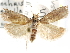  ( - CCDB-29454-E12)  @13 [ ] CreativeCommons - Attribution (2017) CBG Photography Group Centre for Biodiversity Genomics
