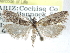  ( - CCDB-29454-F09)  @13 [ ] CreativeCommons - Attribution (2017) CBG Photography Group Centre for Biodiversity Genomics