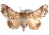  ( - CCDB-29456-H04)  @14 [ ] CreativeCommons - Attribution (2017) CBG Photography Group Centre for Biodiversity Genomics