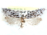  ( - CCDB-29459-A12)  @11 [ ] CreativeCommons - Attribution (2017) CBG Photography Group Centre for Biodiversity Genomics