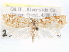  ( - CCDB-29459-B06)  @11 [ ] CreativeCommons - Attribution (2017) CBG Photography Group Centre for Biodiversity Genomics