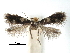  ( - CCDB-29482-E12)  @11 [ ] CreativeCommons - Attribution (2017) CBG Photography Group Centre for Biodiversity Genomics