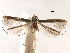  ( - CCDB-29484-A09)  @11 [ ] CreativeCommons - Attribution (2017) CBG Photography Group Centre for Biodiversity Genomics